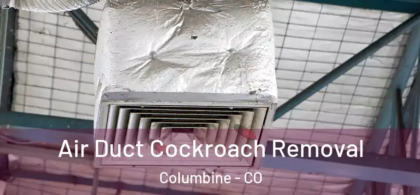  Air Duct Cockroach Removal Columbine - CO