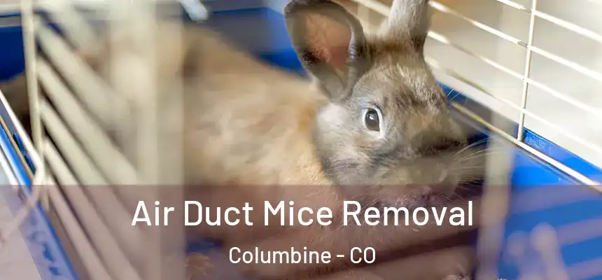  Air Duct Mice Removal Columbine - CO