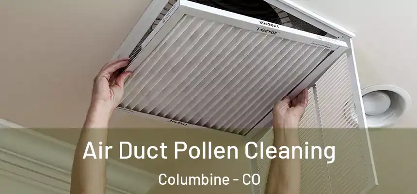 Air Duct Pollen Cleaning Columbine - CO