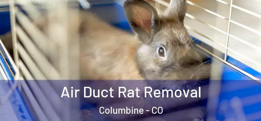 Air Duct Rat Removal Columbine - CO