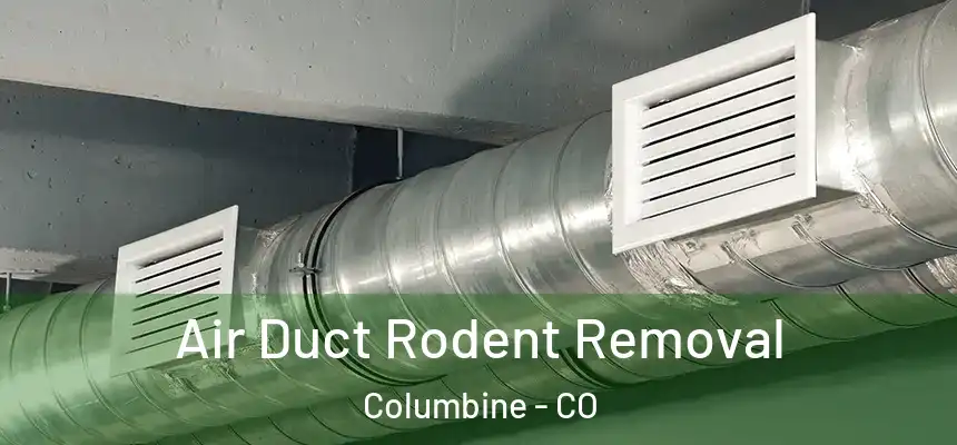  Air Duct Rodent Removal Columbine - CO
