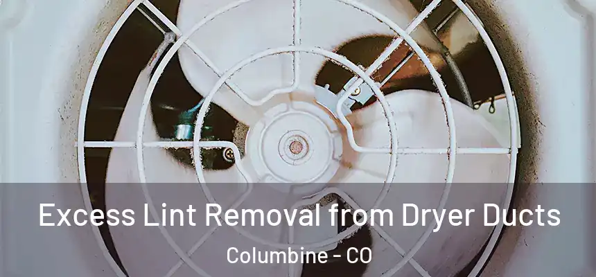  Excess Lint Removal from Dryer Ducts Columbine - CO