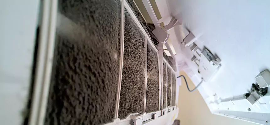 Preventive Air Duct Bacteria Removal in Columbine