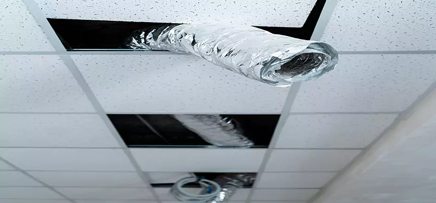 Our Air Duct Pet Hair Removal Services in Columbine, CO