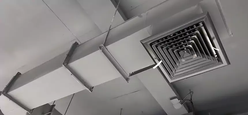 Our Pest Removal From Ducts Services in Columbine, CO