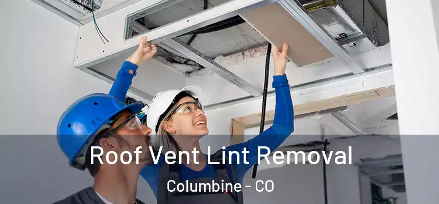  Roof Vent Lint Removal Columbine - CO