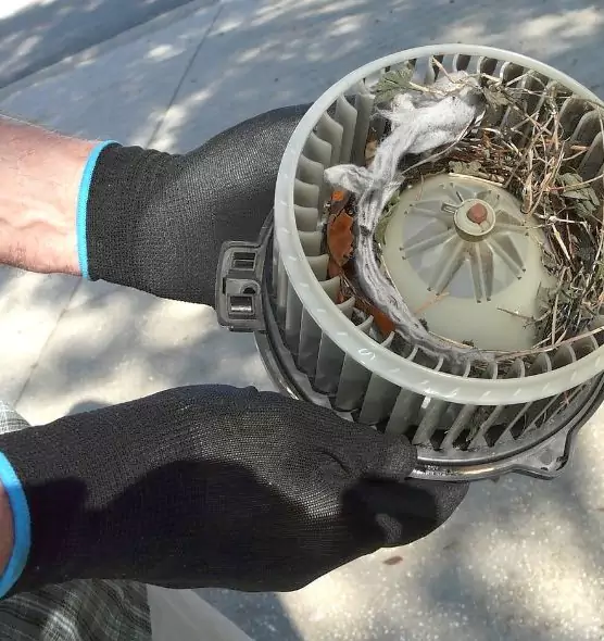 About Air Duct Mice Removal in Columbine, CO