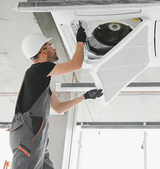 About Air Duct Rodent Removal in Columbine, CO