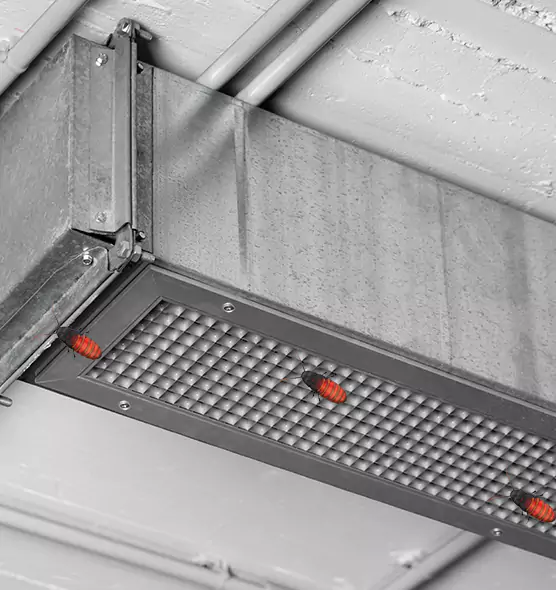 Affordable Insect Removal from Air Ducts in Columbine, CO