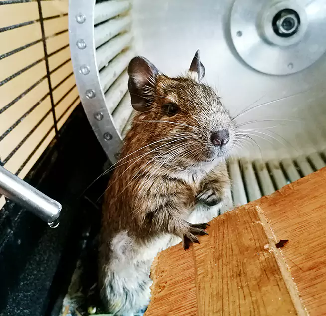 Why Homeowners & Businesses Trust Us Columbine, CO?