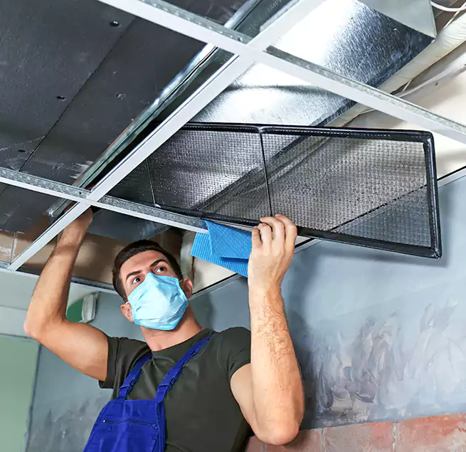 Why Homeowners Businesses Trust Us in Columbine, CO